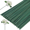 100Pcs Iron Stalk Flower Rod AJEW-SP0003-73B-1