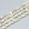 Natural White Moonstone Beads Strands X-G-S315-34-1