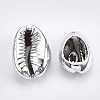 UV Plated Natural Cowrie Shell Beads X-SHEL-S266-06B-2