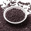 MIYUKI Round Rocailles Beads SEED-X0055-RR0497-2