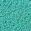 MIYUKI Round Rocailles Beads SEED-JP0009-RR4475-3