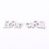 304 Stainless Steel Charms STAS-I080-04P-2
