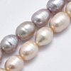 Natural Cultured Freshwater Pearl Beads Strands PEAR-F007-85-01-1