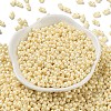 Glass Seed Beads SEED-L011-04A-09-2
