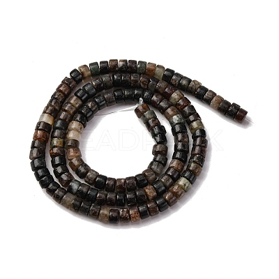 Natural Biotite Beads Strands G-L624-I12-2x4mm-1