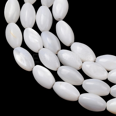 Natural Freshwater Shell Beads Strands SH-CBA2978-11-1