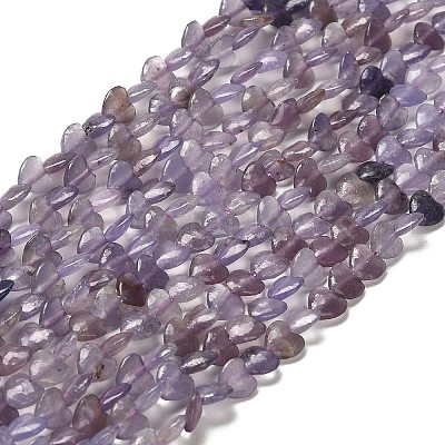 Natural Lepidolite/Purple Mica Stone Beads Strands G-P575-C01-6mm-1
