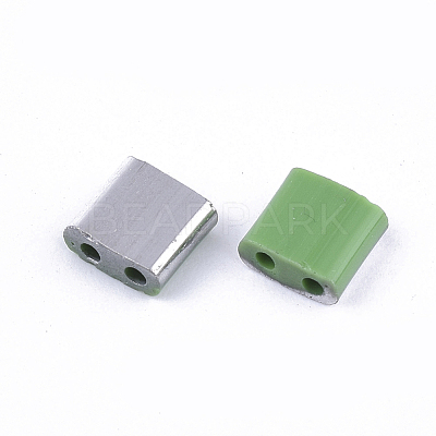 FGB 2-Hole Glass Seed Beads X-SEED-S031-L-047-K-1