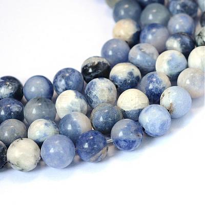 Natural Sodalite Round Bead Strands G-E334-10mm-08-1