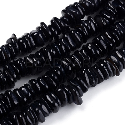 Natural Freshwater Shell Beads Strands SHEL-D078-01A-1