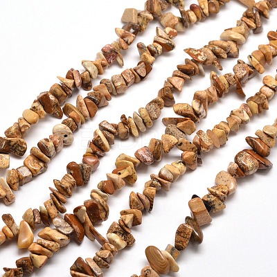 Natural Picture Jasper Chip Bead Strands X-G-M205-31-1