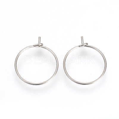 Non-Tarnish 304 Stainless Steel Hoop Earrings X-STAS-R071-41-1