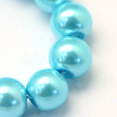 Baking Paint Pearlized Glass Pearl Round Bead Strands HY-Q003-4mm-48-1