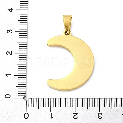 304 Stainless Steel Enamel Pendants STAS-S163-10G-1