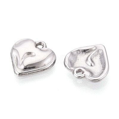 304 Stainless Steel Charms STAS-T065-24B-P-1