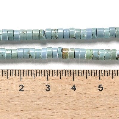 Natural Turquoise Beads Strands X-G-M422-C01-01-1