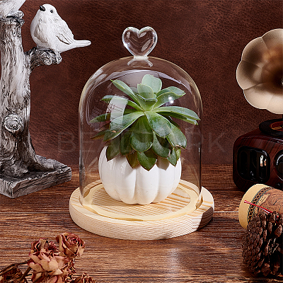 Heart Glass Dome Cover AJEW-WH0794-73-1