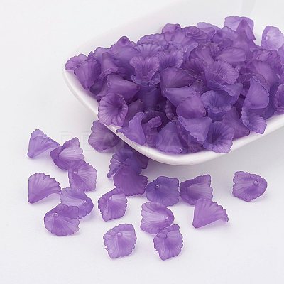 Transparent Acrylic Beads PL622-C01-1