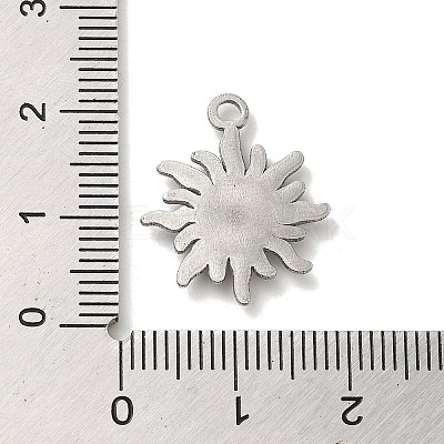 Non-Tarnish 304 Stainless Steel Pendants STAS-R223-09-1