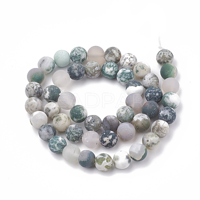 Natural Tree Agate Beads Strands G-T106-037-1