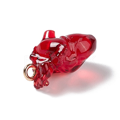 Transparent Resin Pendants LS-RESI-E028-01G-01-1