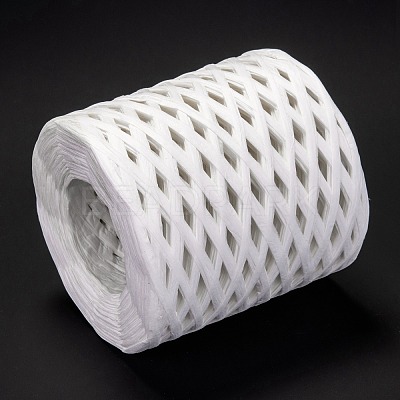 Raffia Ribbon OCOR-I012-A24-1