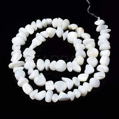 Natural Trochid Shell/Trochus Shell Beads Strands SSHEL-N034-78-A01-1