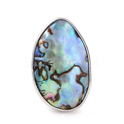 Platinum Plated Brass Abalone Shell/Paua ShellFinger Rings RJEW-E023-02-1