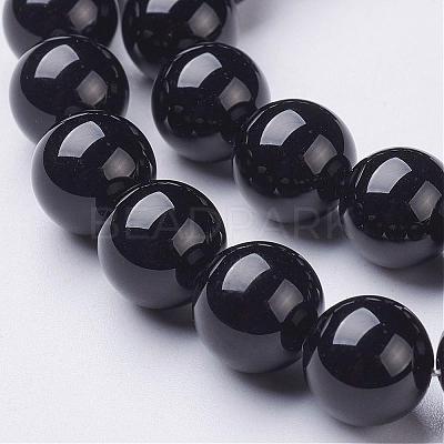 Natural Black Onyx Round Beads Strands GSR10mmC097-1