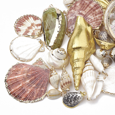 Sea Shell Pendants SSHEL-S258-01-1