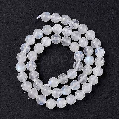 Natural Rainbow Moonstone Beads Strands G-I249-B04-05-1