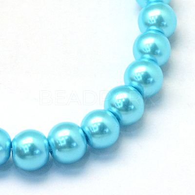 Baking Paint Pearlized Glass Pearl Round Bead Strands HY-Q003-10mm-48-1