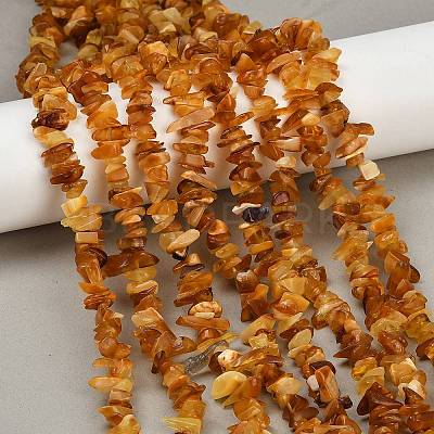 Natural Amber Beads Beads Strands G-Q060-C05-1