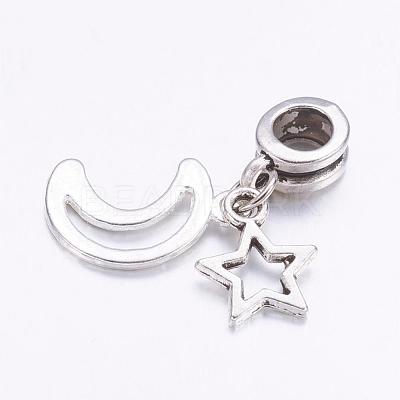 Tibetan Style Alloy European Dangle Charms X-PALLOY-JF00331-1