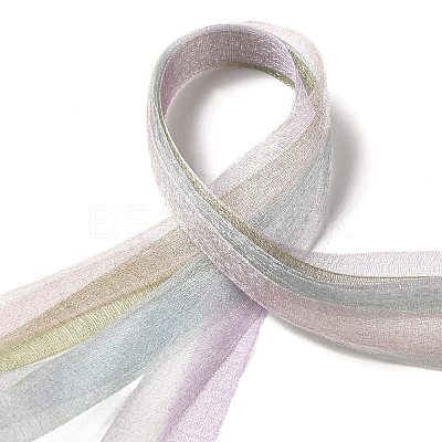 Polyester and Nylon Ribbon Sets DIY-Z029-01R-1