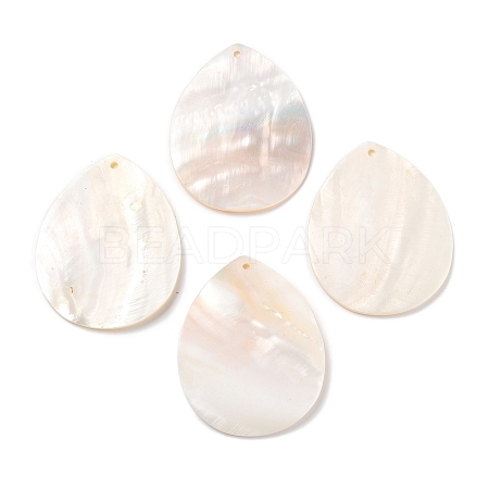 Natural Freshwater Shell Pendants SHEL-D082-01D-1