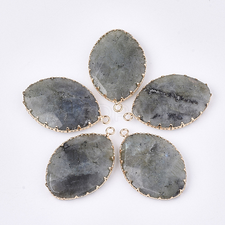 Natural Labradorite Pendants G-S344-83A-1