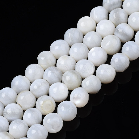 Natural Freshwater Shell Beads Strands X-BSHE-T009B-01A-1