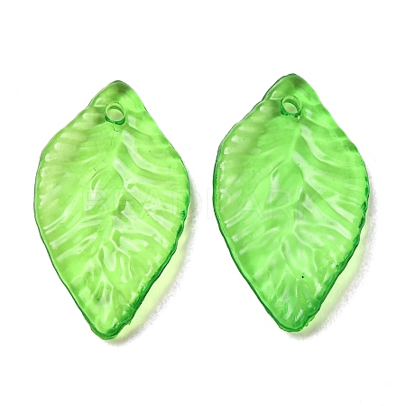 Transparent Acrylic Pendanrs AC-CBA99FE-01-1