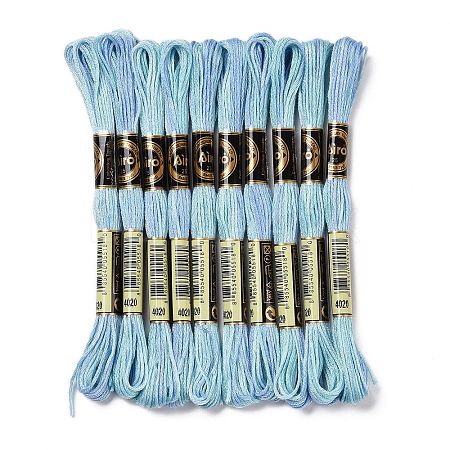 10 Skeins 6-Ply Polyester Embroidery Floss OCOR-K006-A11-1
