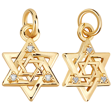 16Pcs Brass Micro Pave Clear Cubic Zirconia Charms KK-BBC0015-88-1