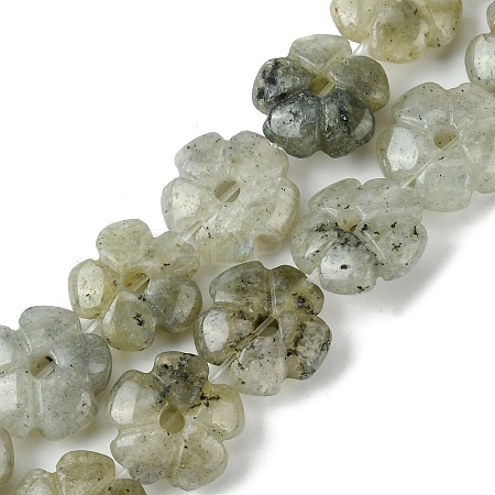 Natural Labradorite Beads Strands G-H023-B19-01-1