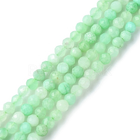 Natural Chrysoprase Beads Strands G-F748-X01-02A-1