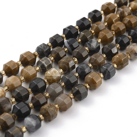 Natural Petrified Wood Beads Strands G-B010-01-1
