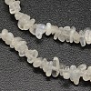 Chips Natural White Moonstone Beads Strands X-G-N0164-57-3