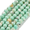 Assembled Synthetic Stone and Trochus Shell Beads Strands G-B128-08A-02-1
