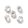 Rhinestone Pendants RGLA-P038-02P-06-1