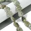 Natural Labradorite Beads Strands G-H023-B19-01-2