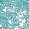 Glass Seed Beads SEED-H002-E-A1419-3
