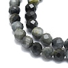 Natural Hawk's Eye Beads Strands G-P457-A03-06-2